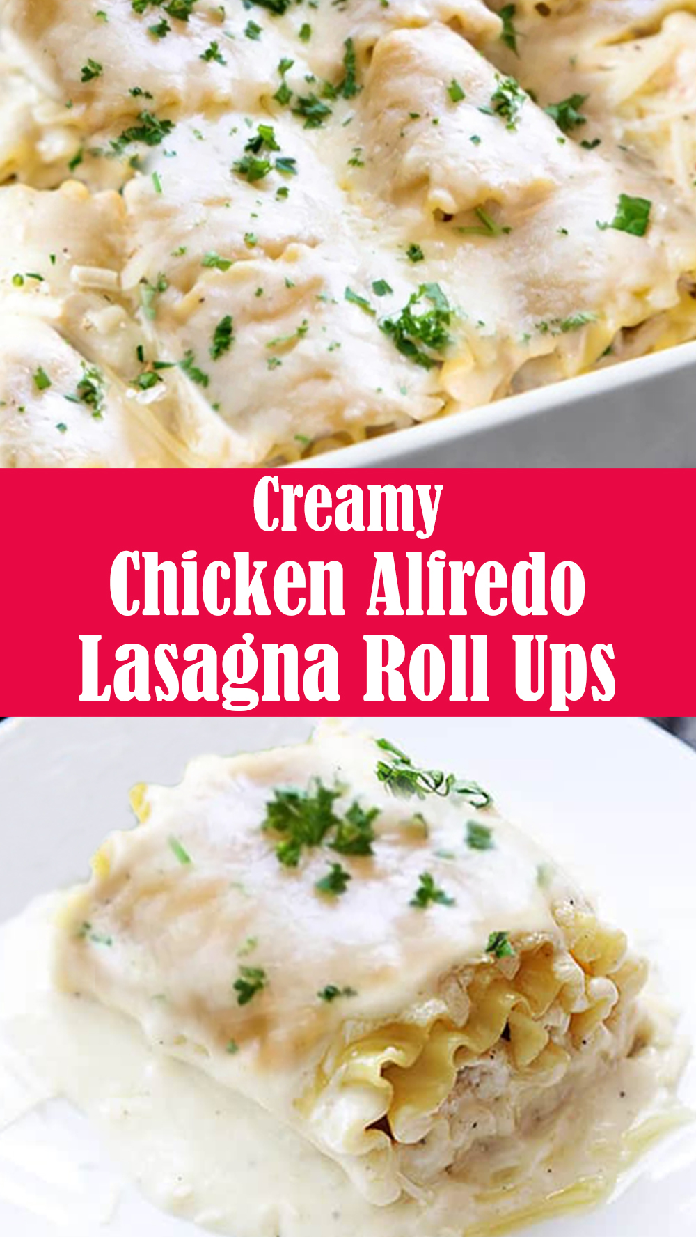 Creamy Chicken Alfredo Lasagna Roll Ups