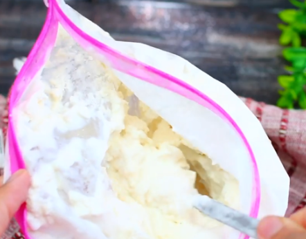 Make Ice Cream Using a Ziploc Bag
