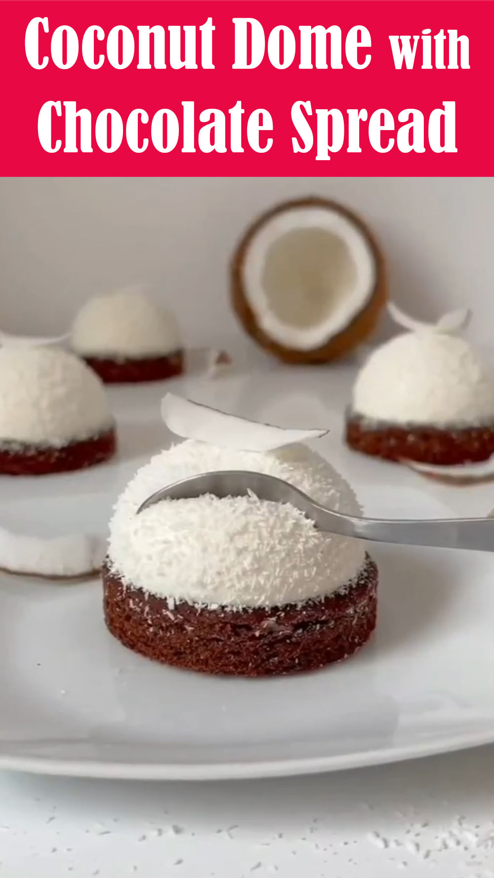 Coconut Dome with Chocolate Spread